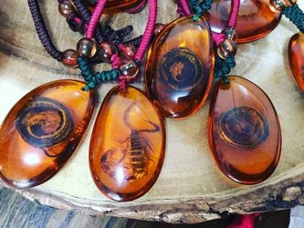 Amber with scorpion or snake 20 each