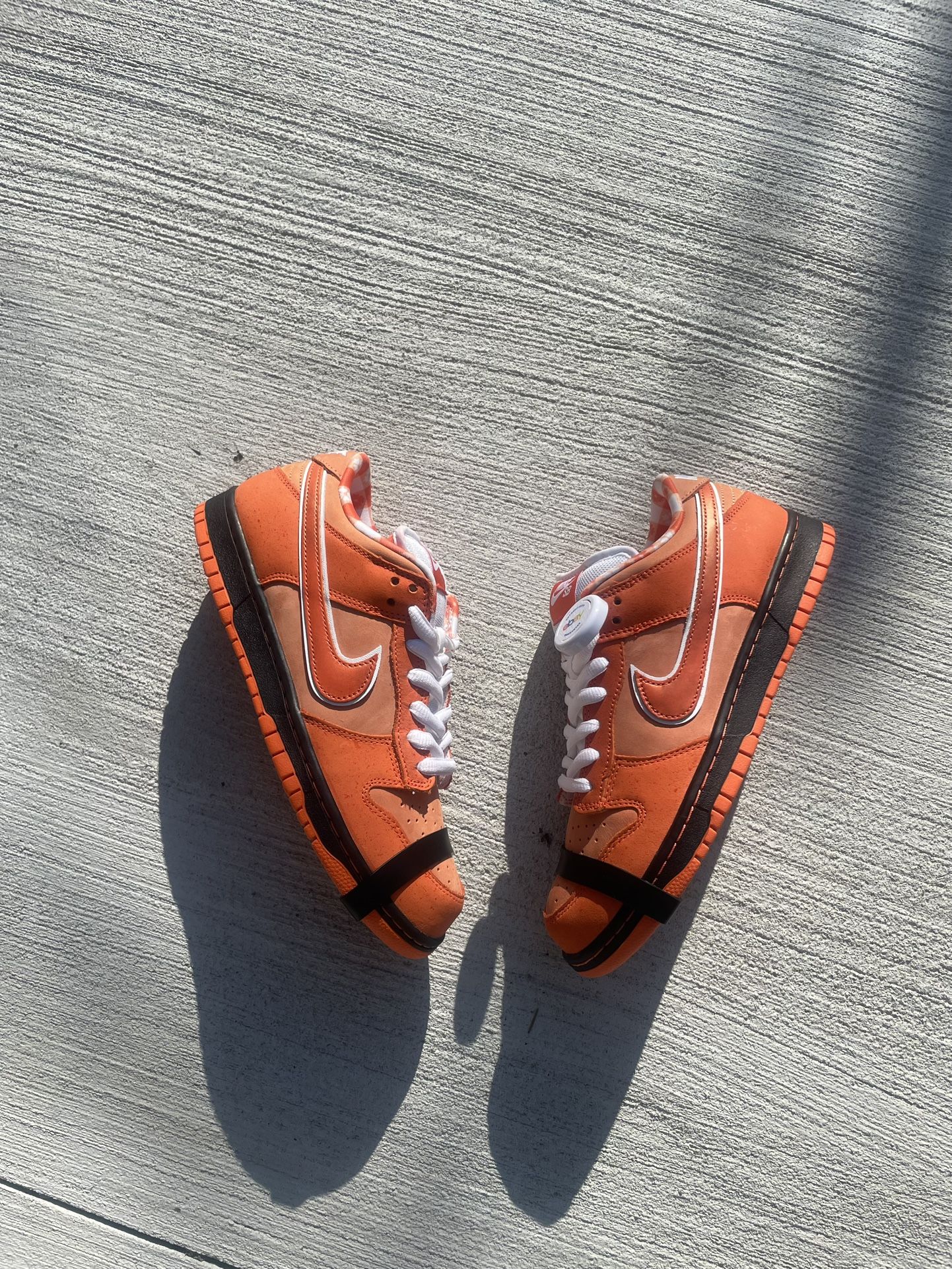 Lobster 🦞 Sb