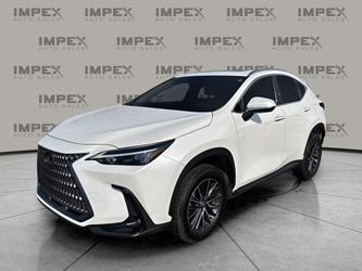2024 Lexus NX 250