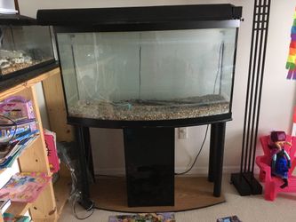 Fish tank 90 gallons curved acrylic glass! 50x27x13 inches
