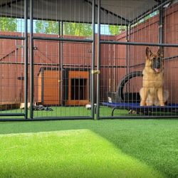 Dogs Runs or Batting Cages $1 PSF 