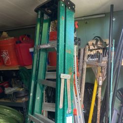 6ft Ladder