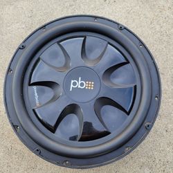 12" Power Bass Shallow 