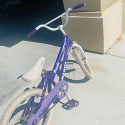 Big Kids Bike