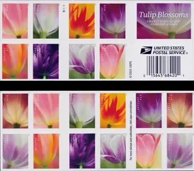 Deal 2023 SHEET OF 100 FIRST CLASS LETTER STAMPS TULIP BLOSSOMS 78¢