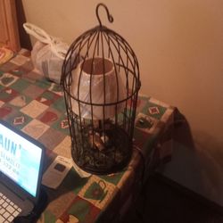 Bird Cage Lamp