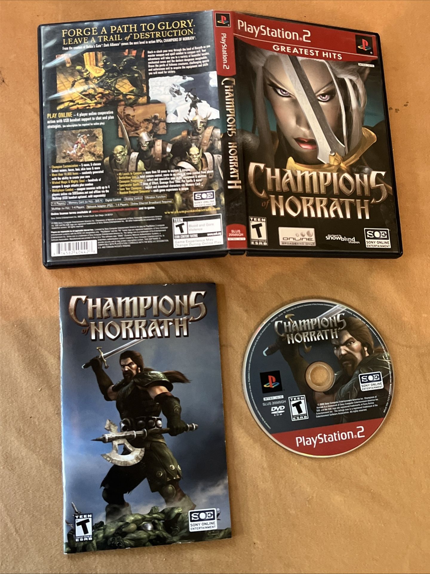 Champions of Norrath PS2 (Sony PlayStation 2, 2004) Greatest Hits CIB Complete