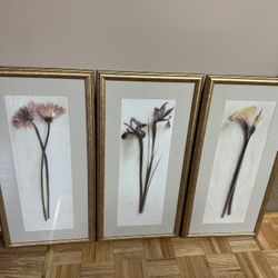 Set Of 3 Artwork