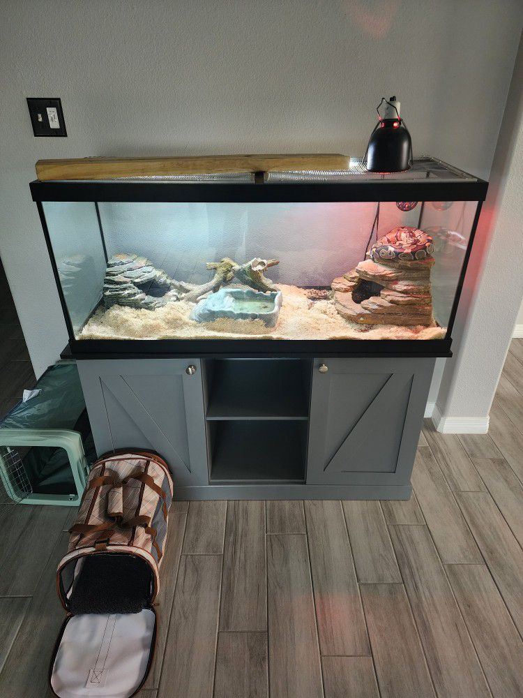 75 Gallon Tank And Stand With Snake