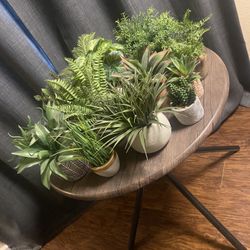 Collection Of Fake Plants 