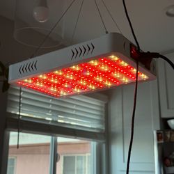 Grow light