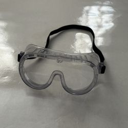 Protected Clear Lens Goggle 