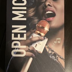 iJoy Open Mic Karaoke Microphone - New 