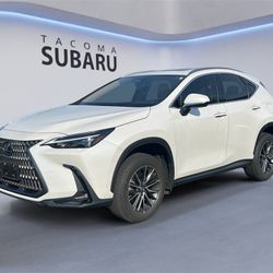Lexus NX 350 Base 2024