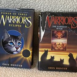 Warriors Power Of Three Eclipse Book