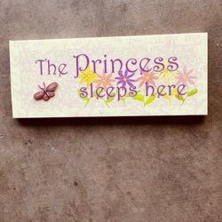 canvas princess picture 8T/20W