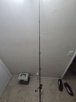 Fishing pole