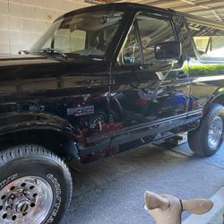 92 Ford BRONCO NITE