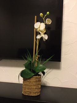 Artificial orchid