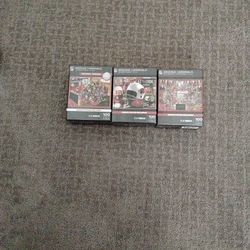 3 100 Piece Cardinal Puzzle