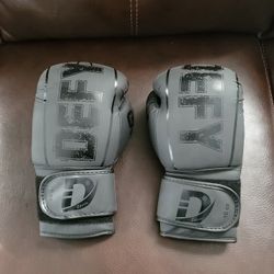 10 oZ Boxing Gloves