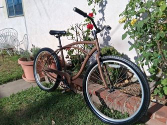Custom Schwinn Cruiser