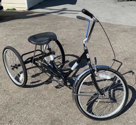 Adult Tricycle