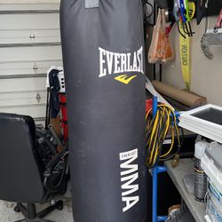 Punching Bag Everlast 