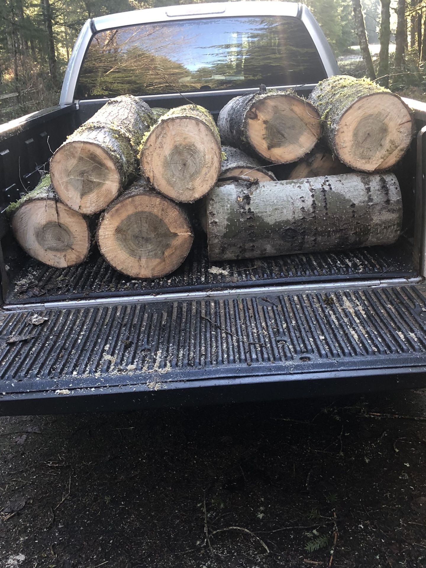 Firewood In Rounds Need Gone Now!