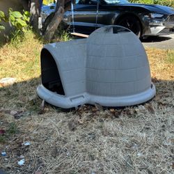 Dog House Igloo