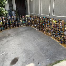 1000  Sunglasses With 24 Wood Case