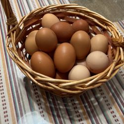 Organic Fresh Eggs 