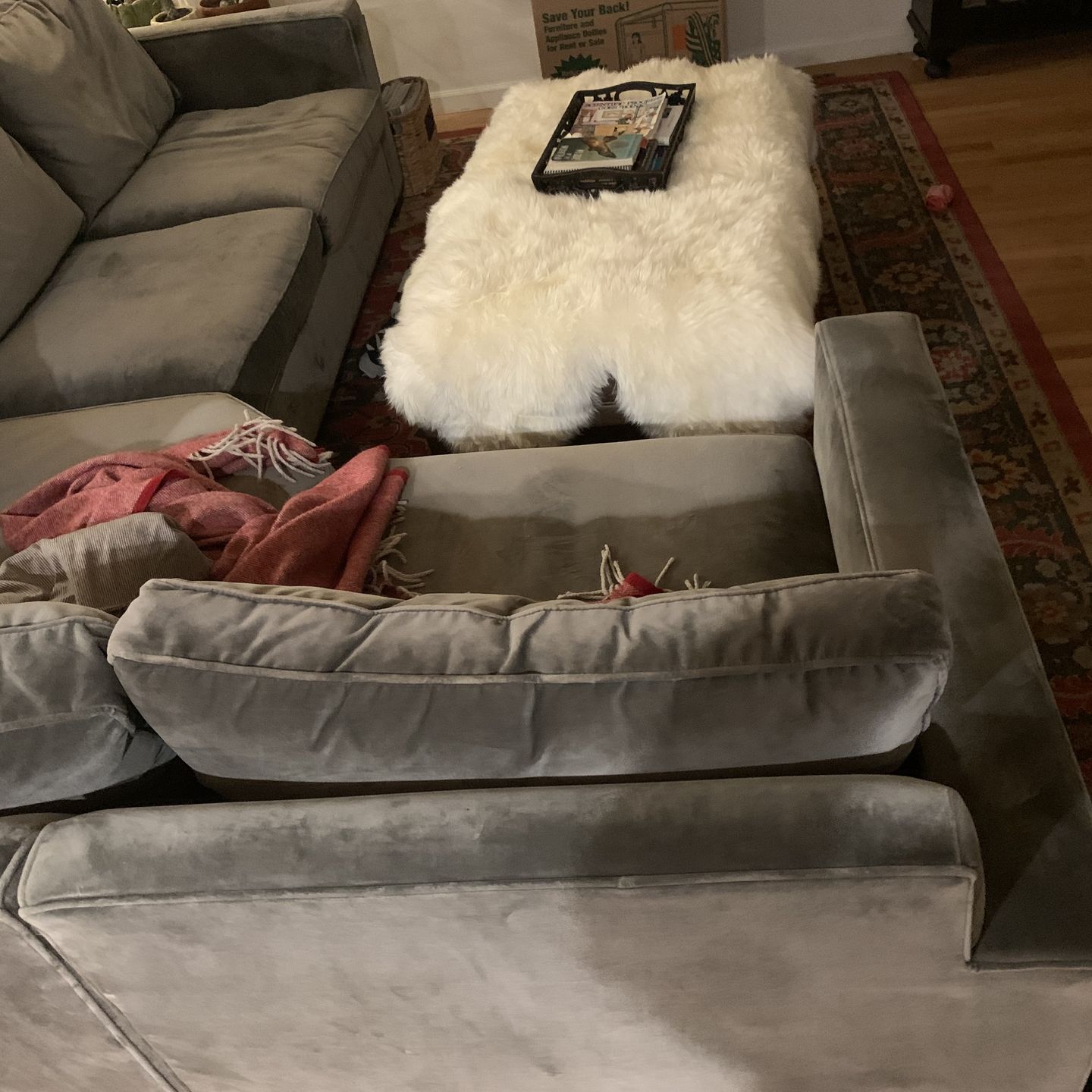 Room & Board couch