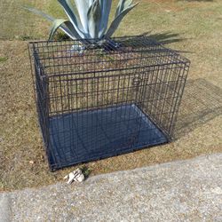 Adult Dog Pen