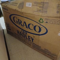 Graco Black Color 