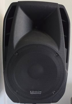 Edison professional m2000 15" speaker