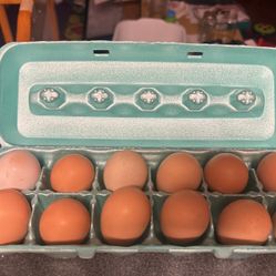 1dozen Fresh Hen Eggs