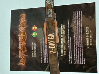 Wasteland 2 Day GA wristband