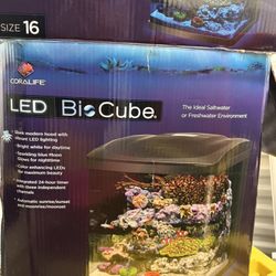 Bio Cube Aquarium