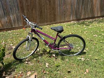 Roadmaster Granite Peak Mountain Bike