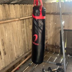Punching Bag 