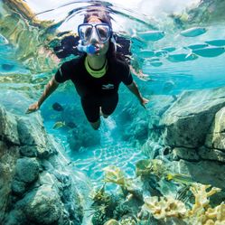 Discovery Cove Experience 