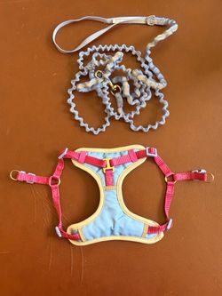 Cat leash and harness