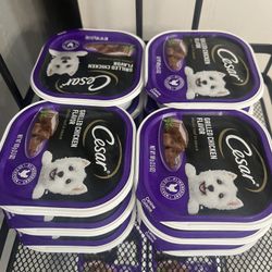 Cesar Dog Food 24ct 15$ Only