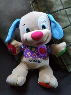Laugh & Learn Puppy* Works Great!