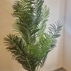 2 Faux Palm Plants (6 Feet)
