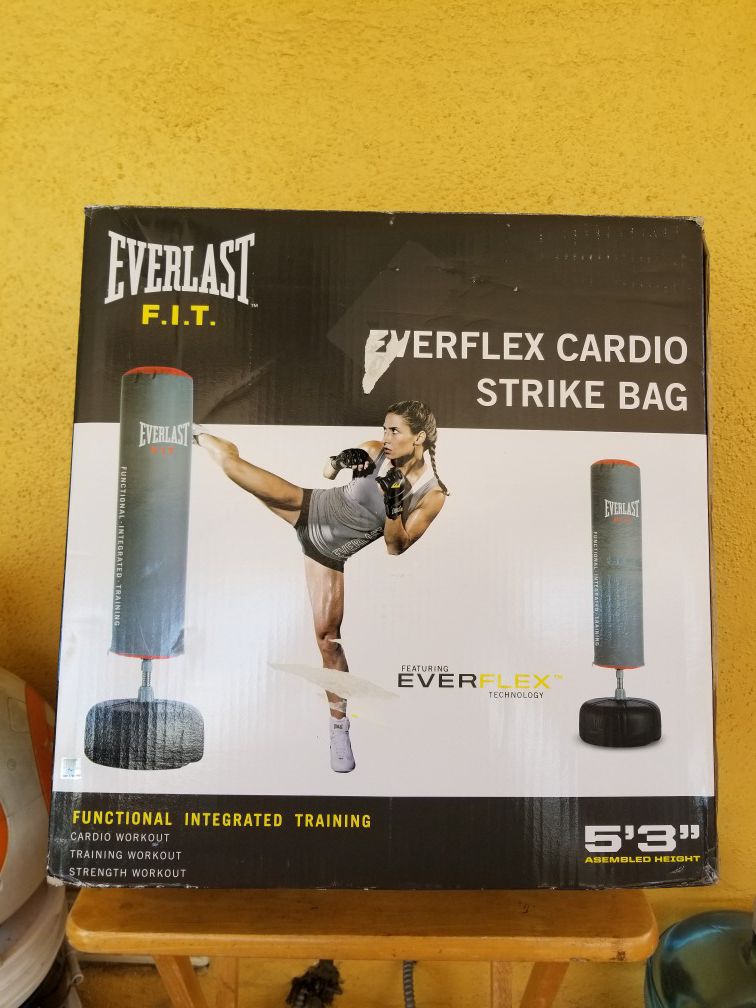 Everlast cardio strike punching bag