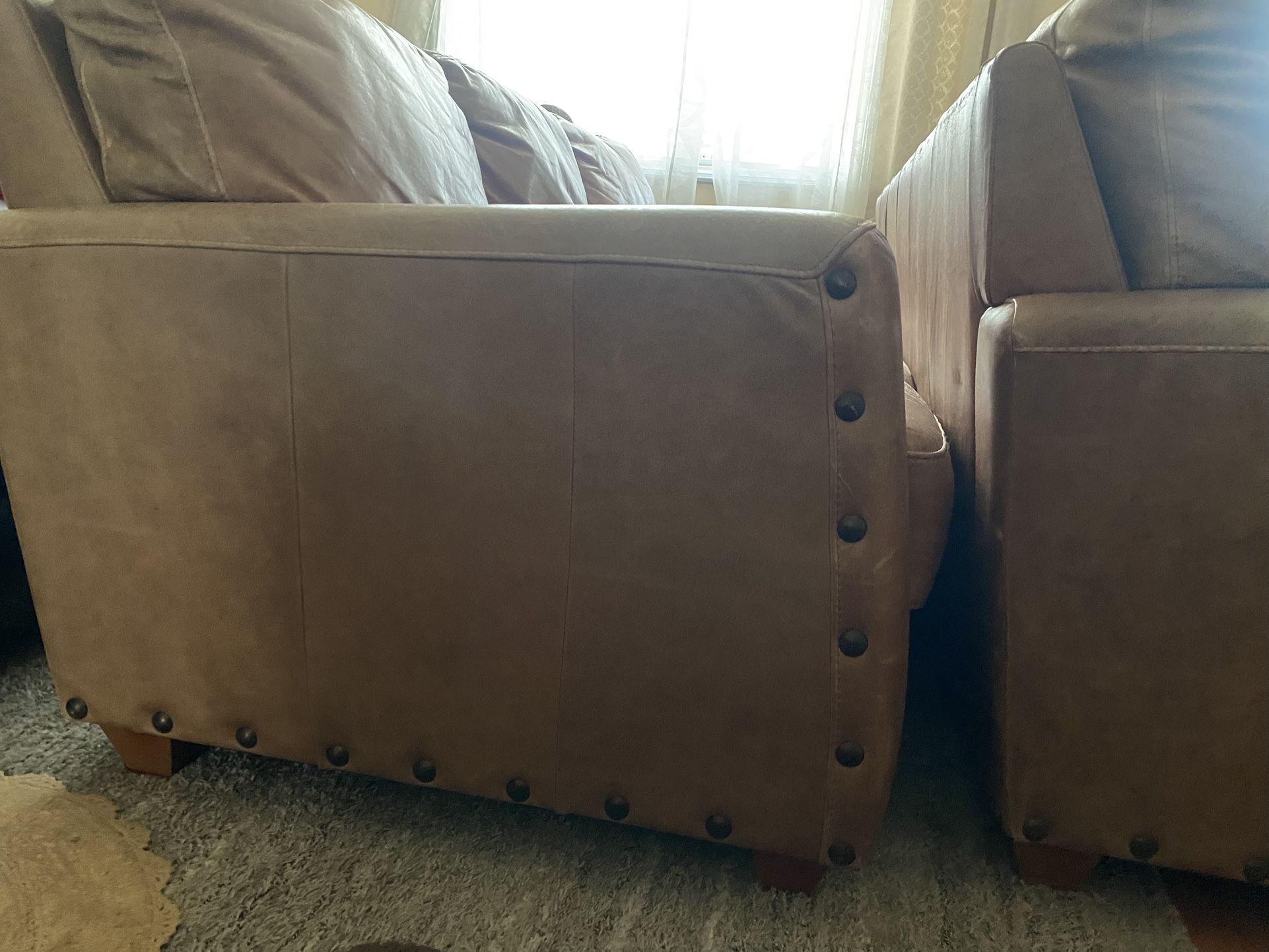 Two Leather Couches