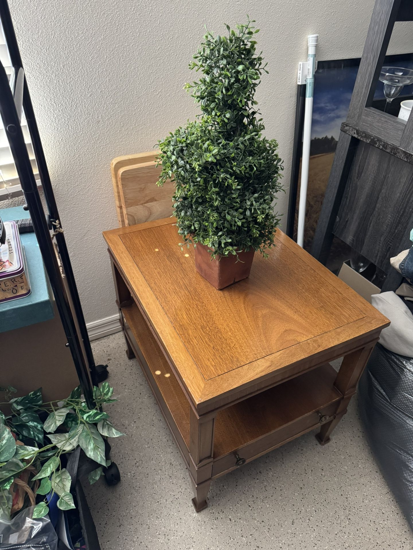 End Table And Faux Plant