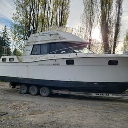 32ft Carver